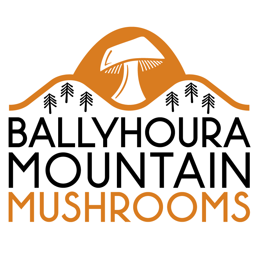 Ballyhoura Mountain Mushrooms