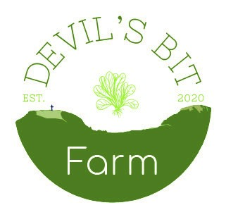 Devil’s Bit Farm