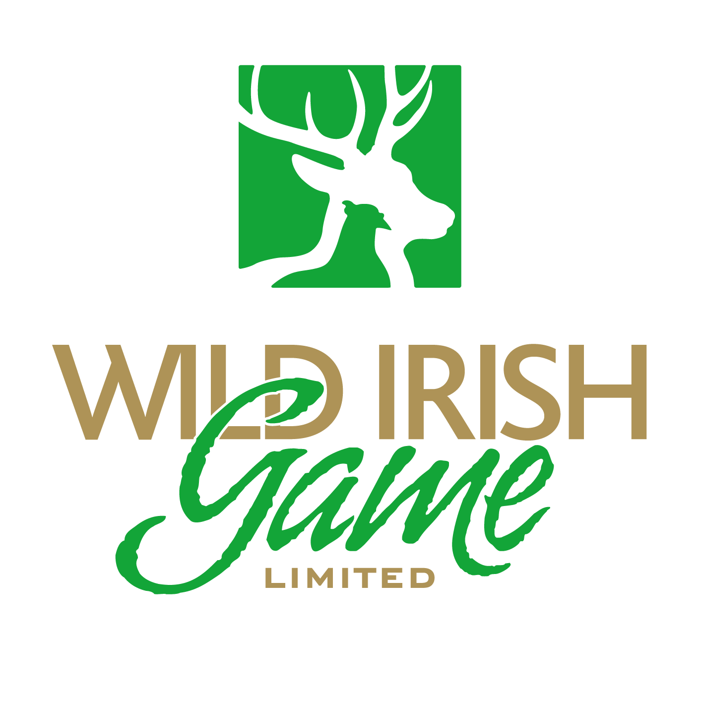 Wild Irish Game